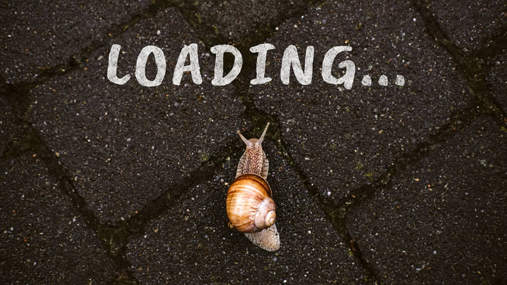 Snail crawling on the ground, illustrating slow load times for a website
